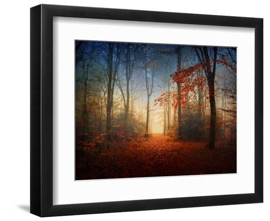 Premium Photographic Print, , large