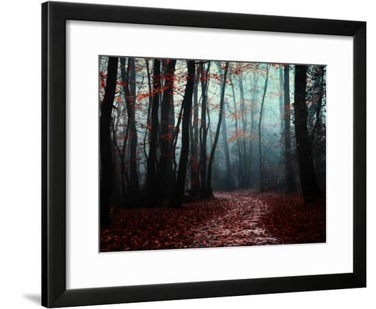 Framed Photographic Print, , large