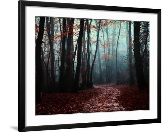 Framed Photographic Print, , large