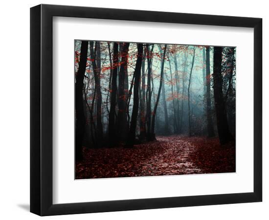Premium Photographic Print, , large