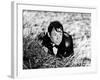 Philippe Noiret: La Vie de Chateau, 1965-Marcel Dole-Framed Photographic Print