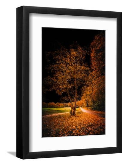 Premium Photographic Print, , large