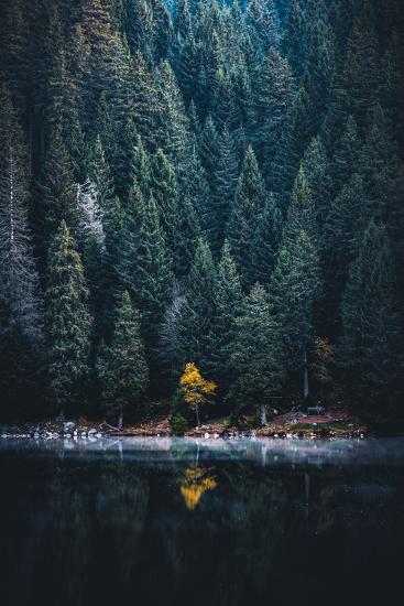 Premium Photographic Print, , large