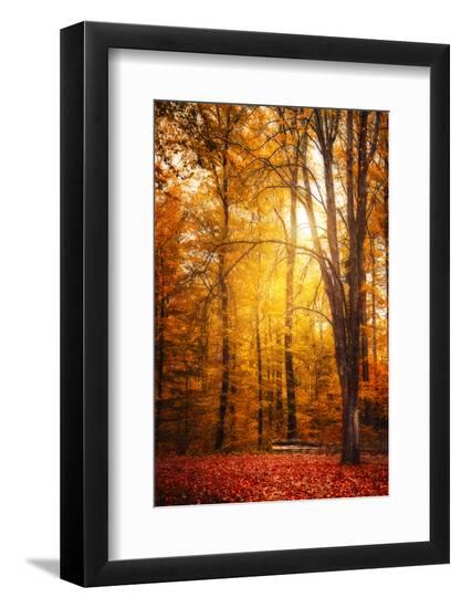 Premium Photographic Print, , large