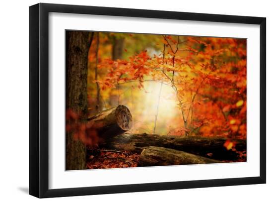 Premium Photographic Print, , large