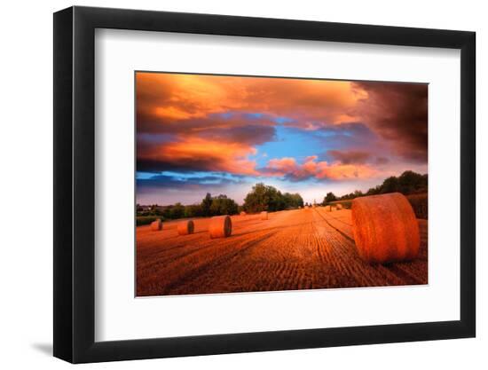 Premium Photographic Print, , large