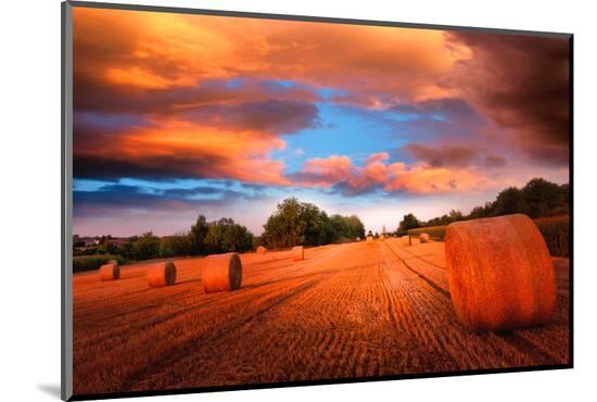 Photographic Print, , large