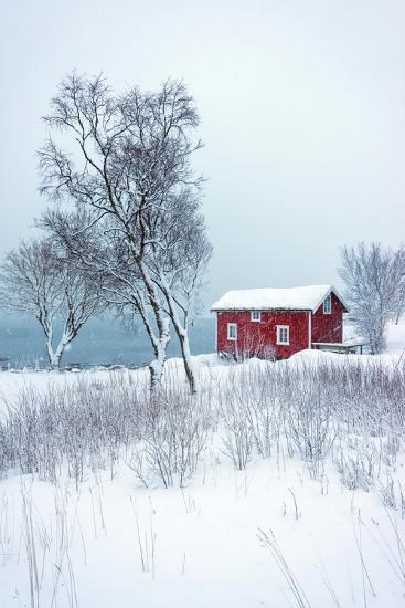 Premium Photographic Print, , large