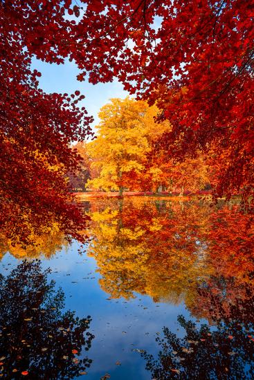 Premium Photographic Print, , large