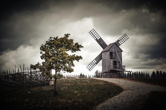 Photographic Print, , large