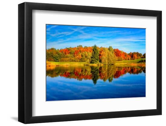 Premium Photographic Print, , large