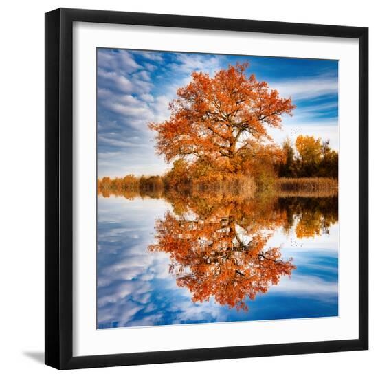 Premium Photographic Print, , large