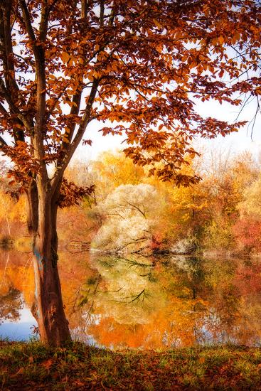 Photographic Print, , large