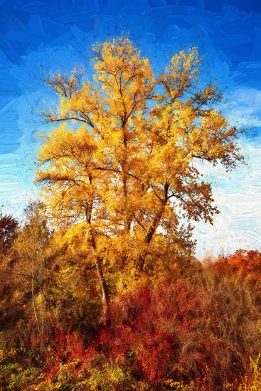 Premium Photographic Print, , large