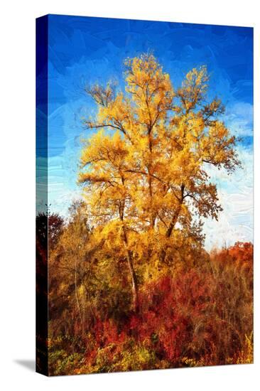 Stretched Canvas Print, , large
