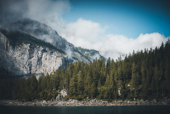 Photographic Print, , large