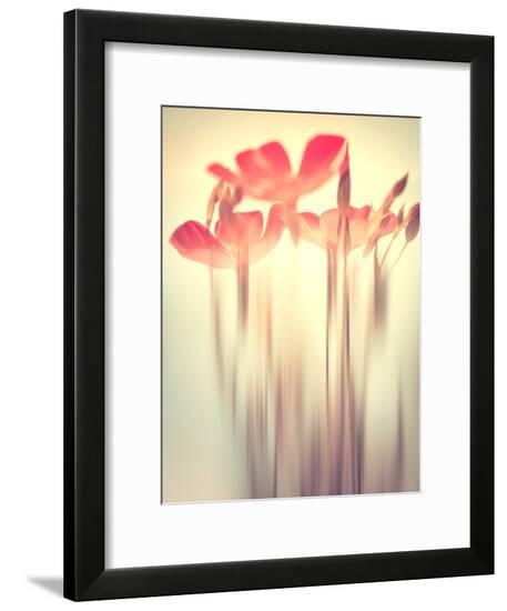 Framed Photographic Print, , large