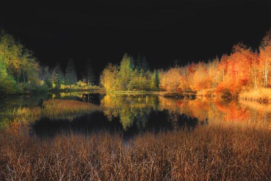 Premium Photographic Print, , large