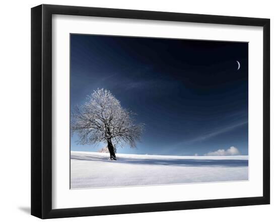 Premium Photographic Print, , large