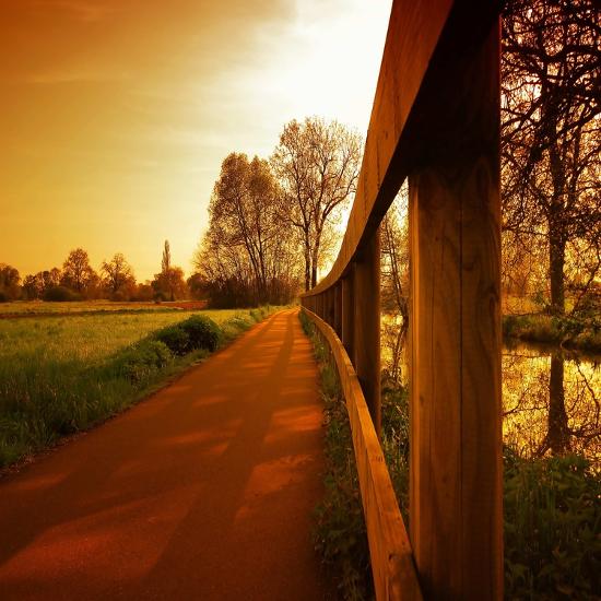 Premium Photographic Print, , large