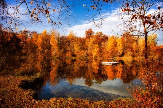 Photographic Print, , large