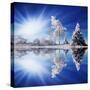 Stretched Canvas