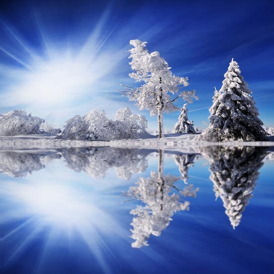 Premium Photographic Print, , large