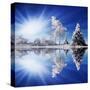 Stretched Canvas