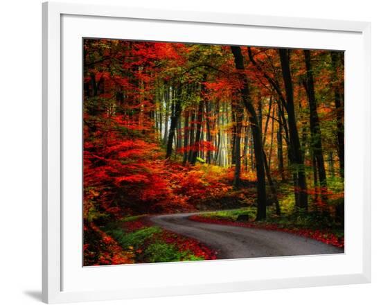 Framed Photographic Print, , large