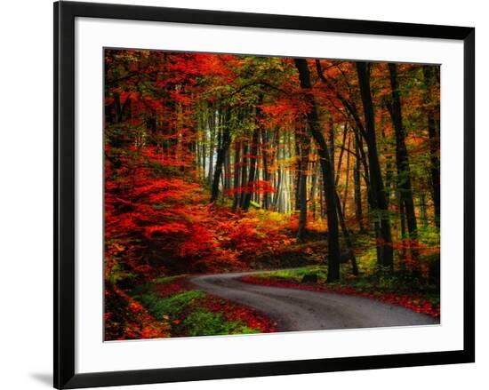 Framed Photographic Print, , large