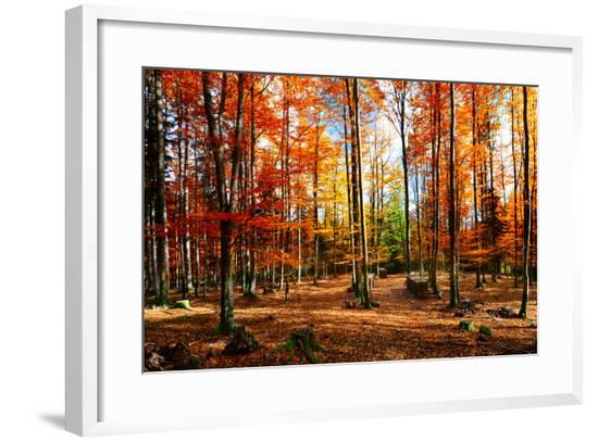 Framed Photographic Print, , large