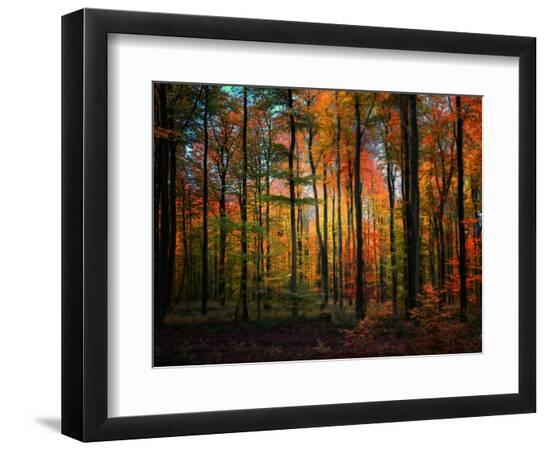 Premium Photographic Print, , large