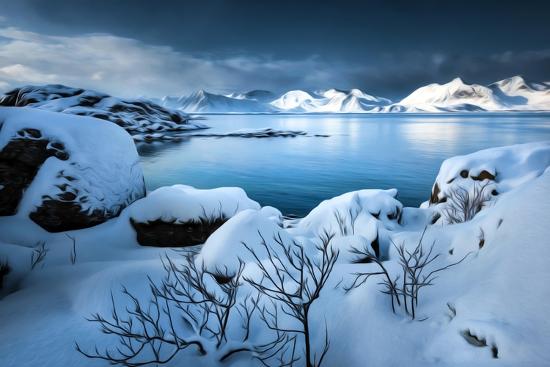 Premium Photographic Print, , large