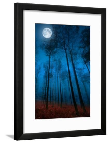 Framed Photographic Print, , large