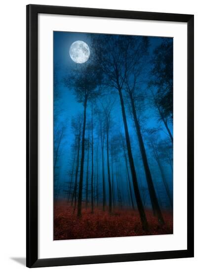 Framed Photographic Print, , large