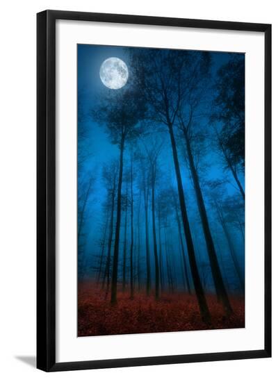 Premium Photographic Print, , large
