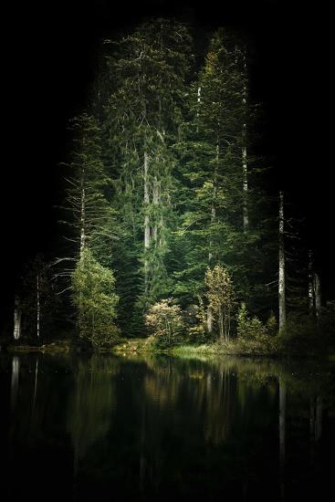 Photographic Print, , large