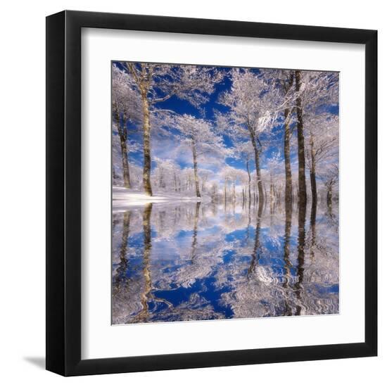 Premium Photographic Print, , large