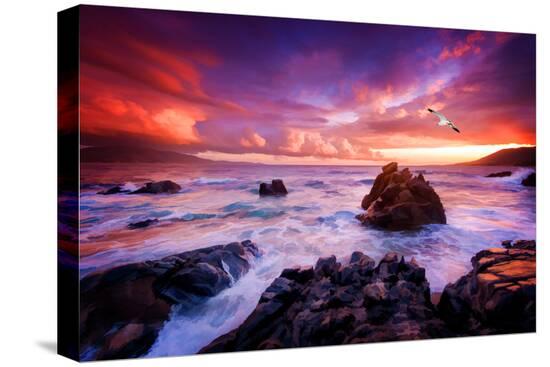 Stretched Canvas Print, , large