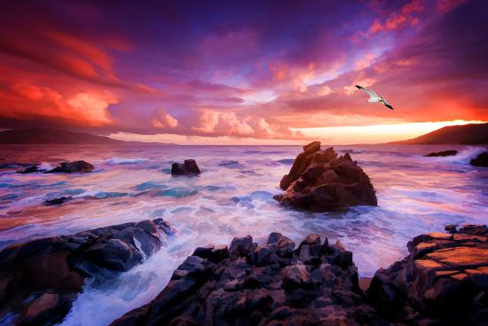 Premium Photographic Print, , large
