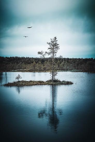 Photographic Print, , large