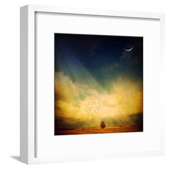Framed Photographic Print, , large