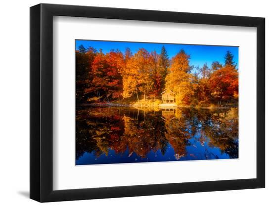 Premium Photographic Print, , large