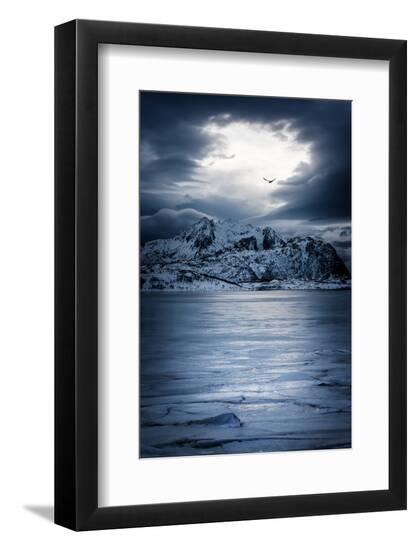 Premium Photographic Print, , large