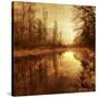 Stretched Canvas