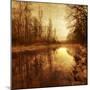 Wood Mount