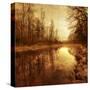 Stretched Canvas