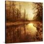 Stretched Canvas