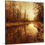 Stretched Canvas