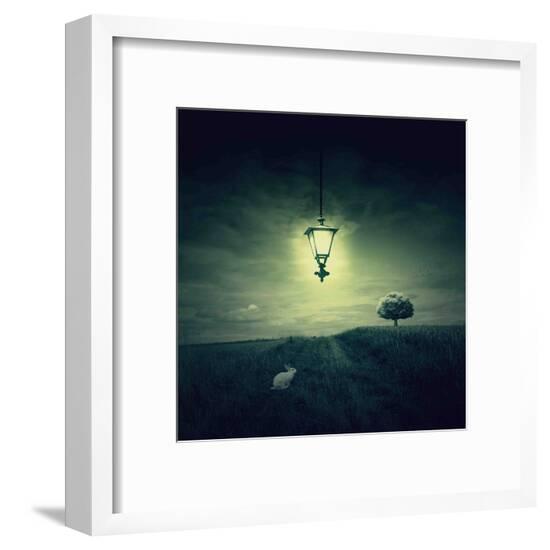 Framed Photographic Print, , large